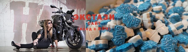 стафф Тутаев