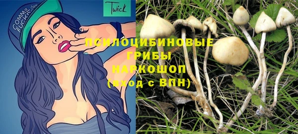 ALPHA-PVP Бородино