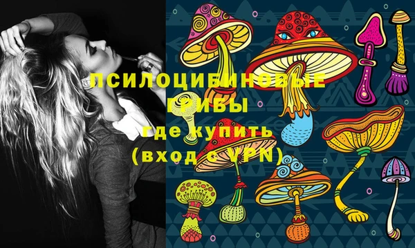 jwh Богородск