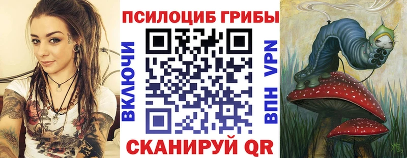 блэк спрут рабочий сайт  Ишимбай  Галлюциногенные грибы Psilocybine cubensis 